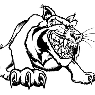 Bobcat